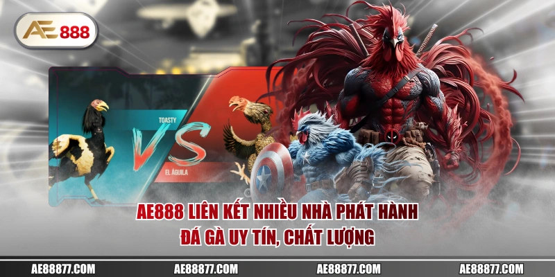 AE888 liên kết nhiều nhà phát hành đá gà uy tín, chất lượng