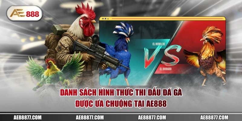 Danh sách hình thức thi đấu đá gà được ưa chuộng tại AE888