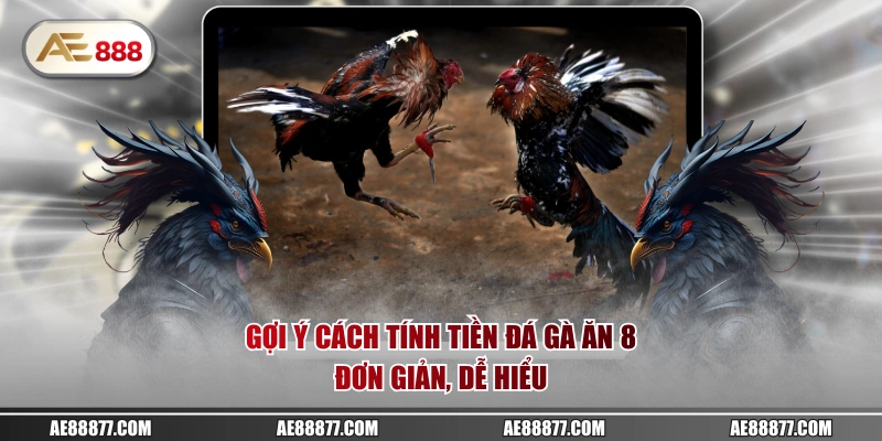 Gợi ý cách tính tiền đá gà ăn 8 đơn giản, dễ hiểu