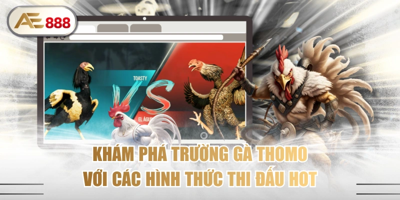 Khám Phá Trường Gà Thomo Với Các Hình Thức Thi Đấu Hot