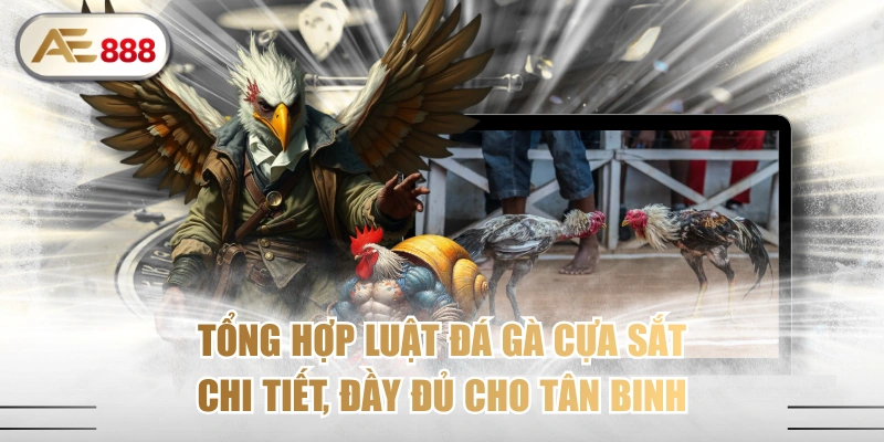Tổng Hợp Luật Đá Gà Cựa Sắt Chi tiết, Đầy Đủ cho Tân Binh
