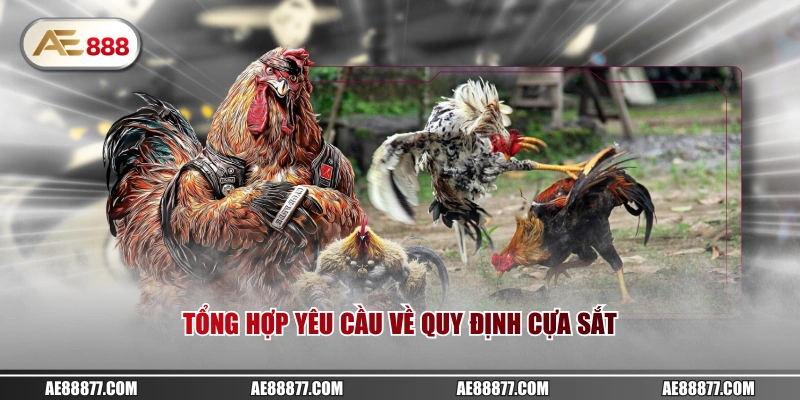 Tổng hợp yêu cầu về quy định cựa sắt